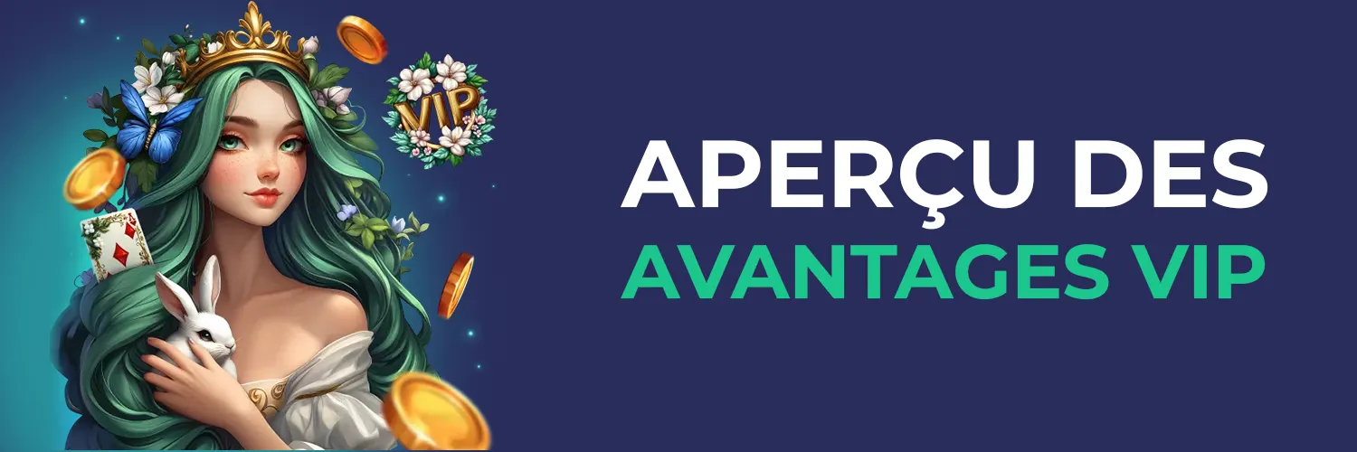 APERÇU DES AVANTAGES VIP